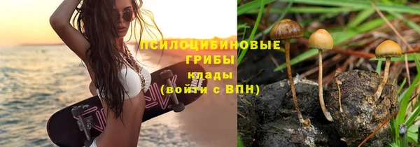 каннабис Арсеньев